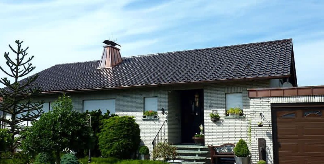 nelskamp nibra